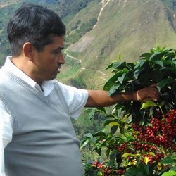 café CONDOR Cajamarca Pérou